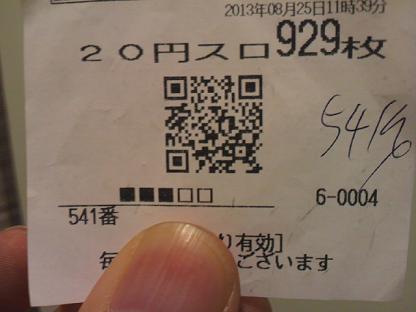 2013082519250002.JPG